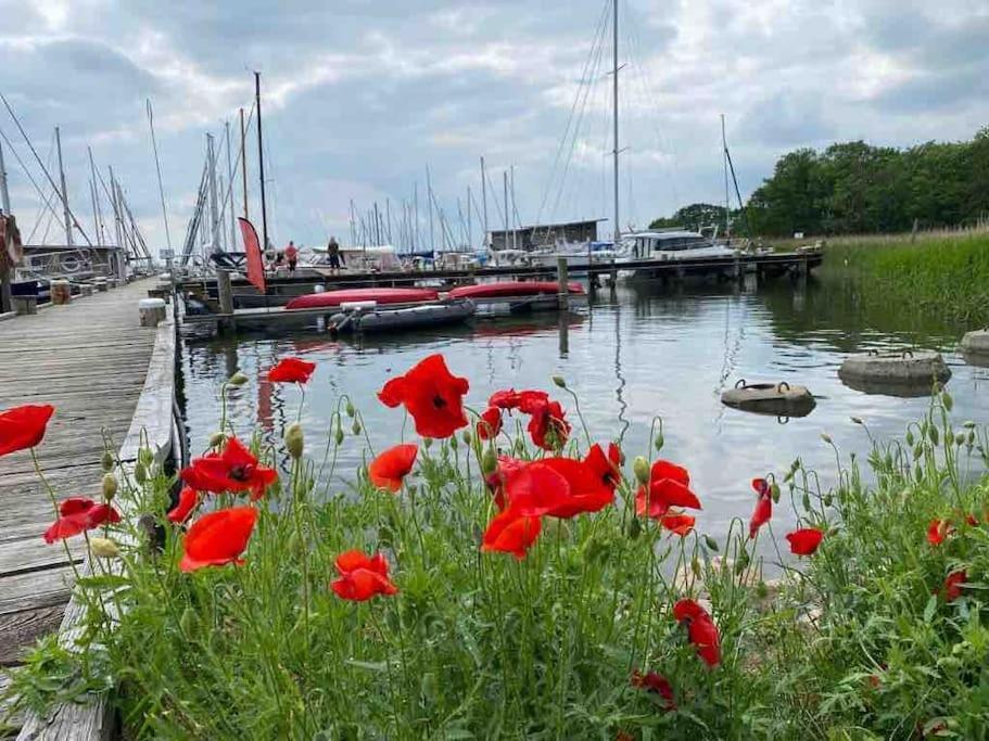 Ferienhaus Mit Wasserblick Auf Der Insel Usedom Krummin Buitenkant foto